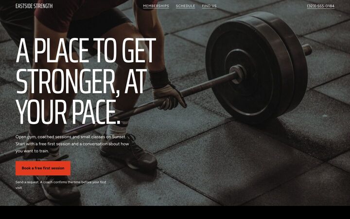 Iron, a gym website
